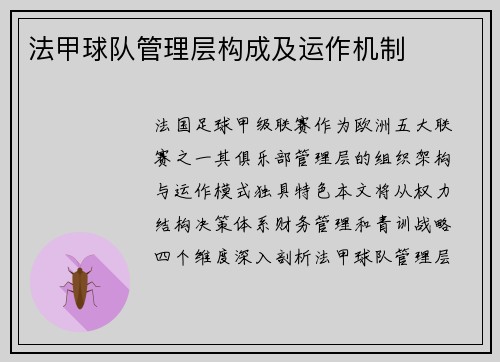 法甲球队管理层构成及运作机制