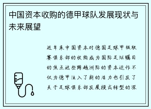中国资本收购的德甲球队发展现状与未来展望